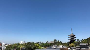 観光スポット / 4