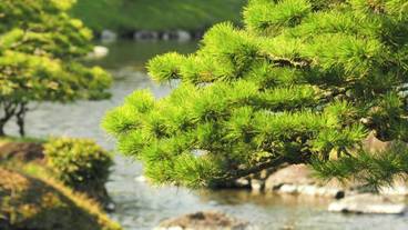 観光スポット / 3