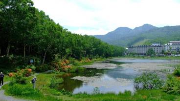 施設の敷地 / 15