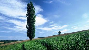 施設の敷地 / 14