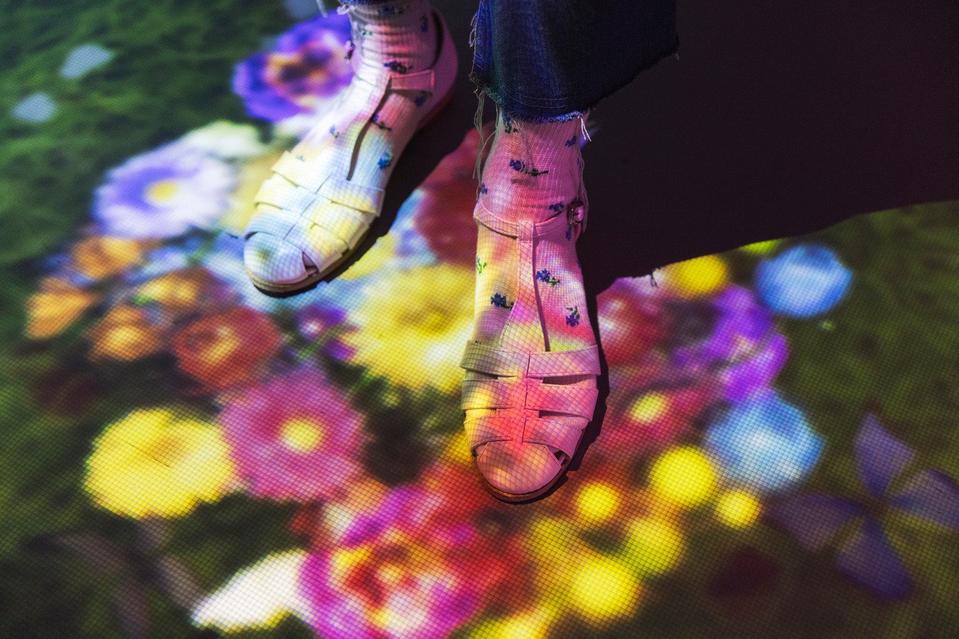 3. 五感を癒す幻想的な光の花々2606696