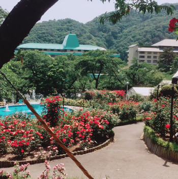 お部屋でチェックインOK！2人だけのプライベートステイを楽しもう4245110