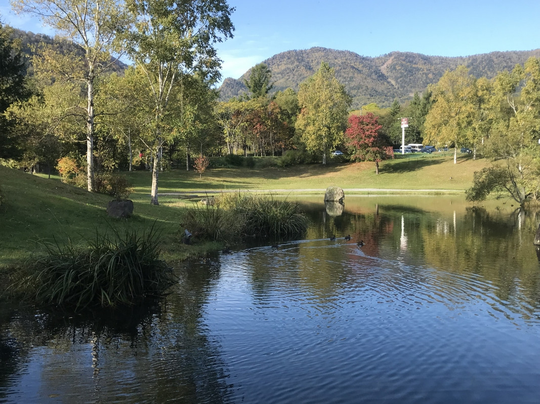 レストランから見える庭