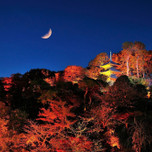【東京】秋らしい景色に心安らぐ。“紅葉狩り”の拠点にしたいホテル10選