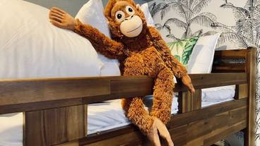 子供用の遊び場 - 屋内 / 7