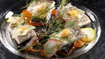 食事・飲み物 / 13