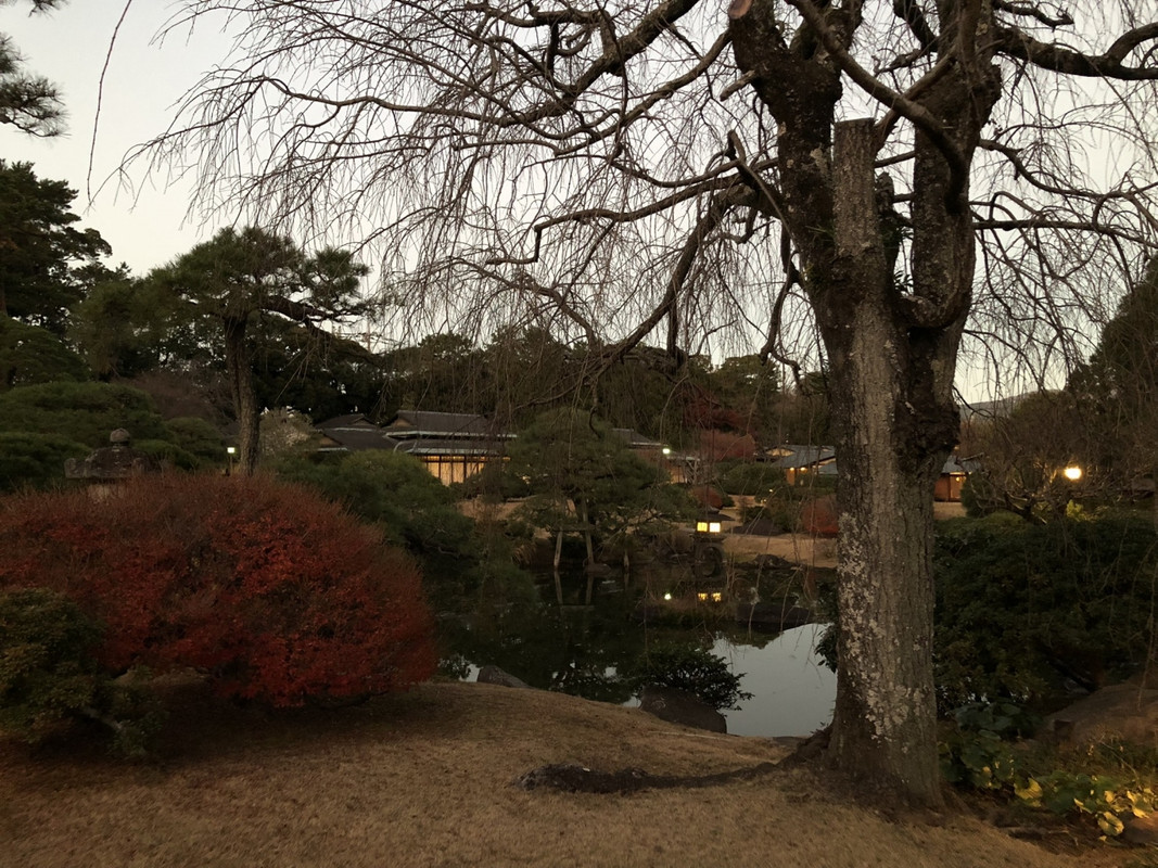 夕方の日本庭園。ぽつぽつと、別棟の数寄屋の灯が見えます。
