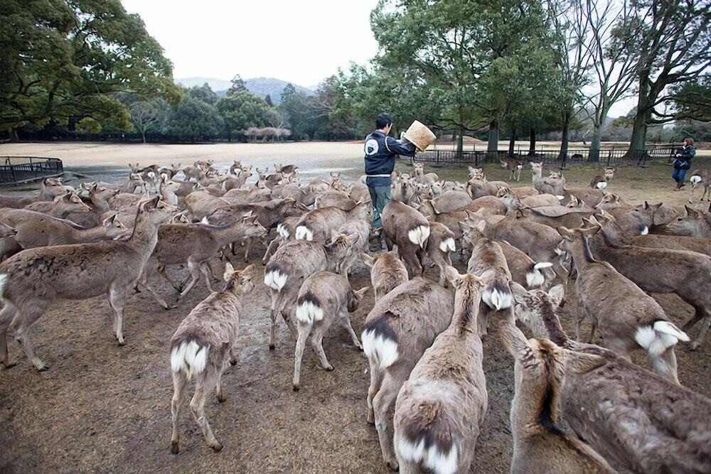 施設からの眺望