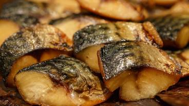 食事・飲み物 / 1