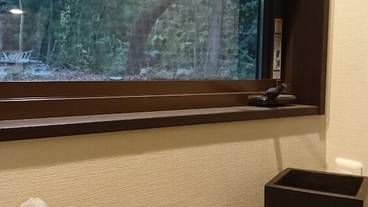 リビング エリア / 13