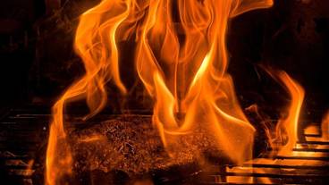 レストラン / 10