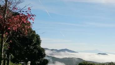 施設からの眺望 / 8