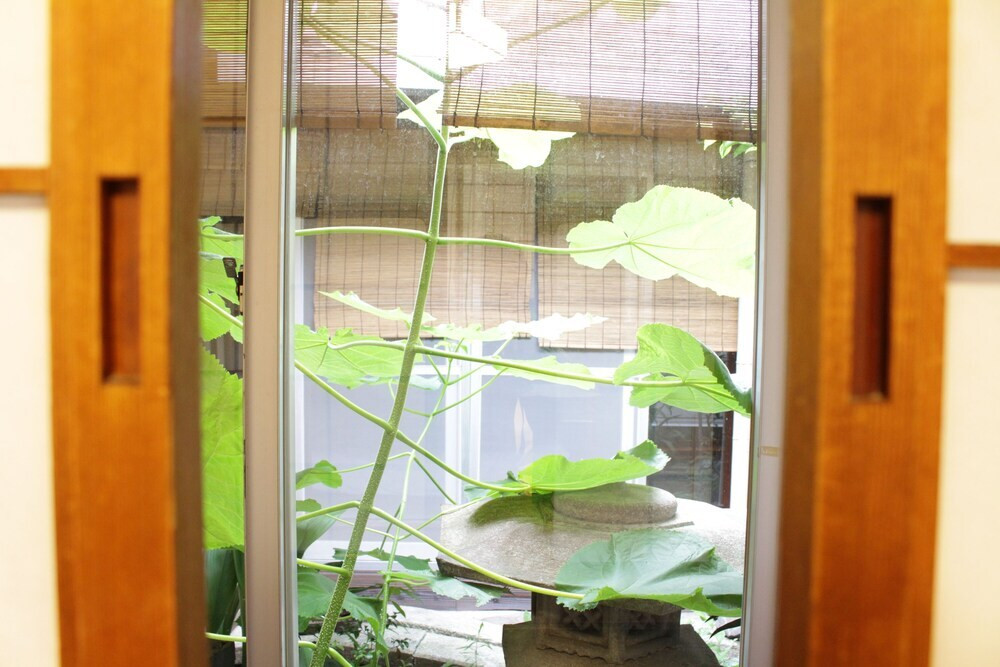 施設からの眺望