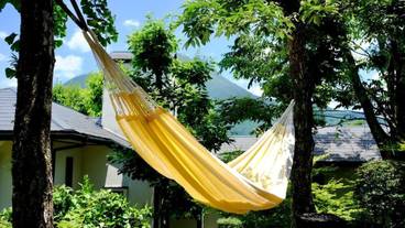 施設の敷地 / 18