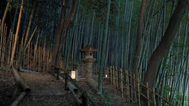 庭園 / 22