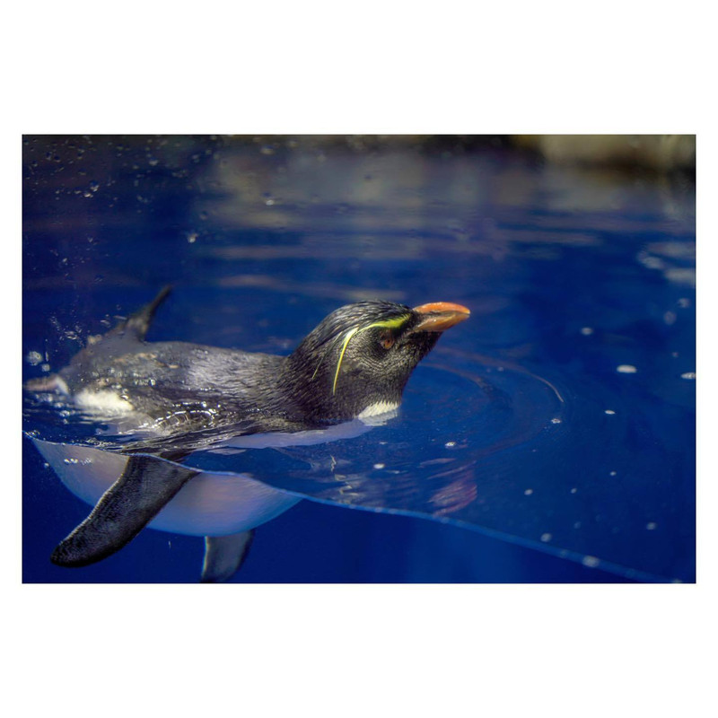 panda_rihoさんの写真 / 5