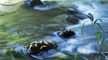 施設からの眺望 / 18