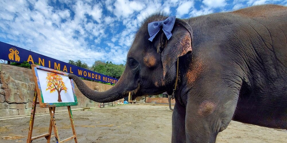 子供向けアクティビティ