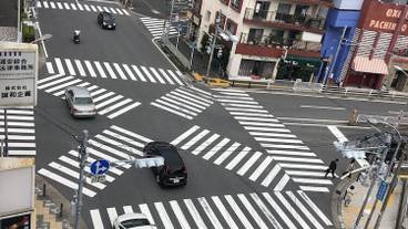 施設からの眺望 / 21