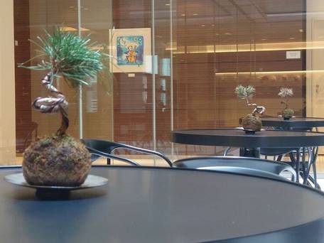 リッチモンドホテル東京芝 / 5