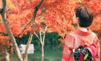 高知の秋旅におすすめ観光スポット11選｜美しい紅葉、藁焼き体験♪