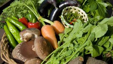 レストラン / 15