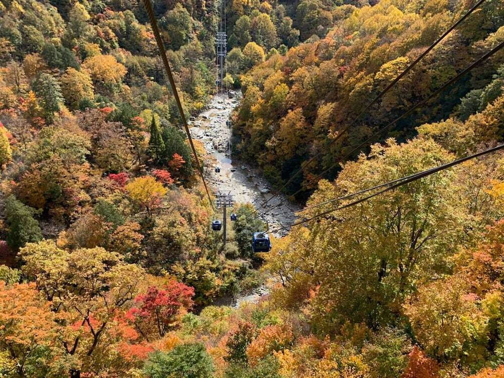 施設からの眺望