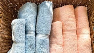 客室の設備とサービス / 30