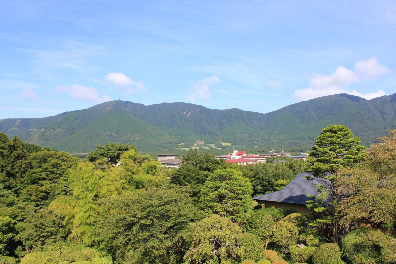 心と身体を解きほぐす箱根の旅3502114