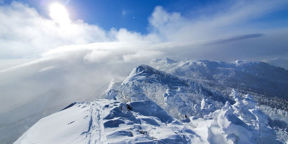 施設からの眺望