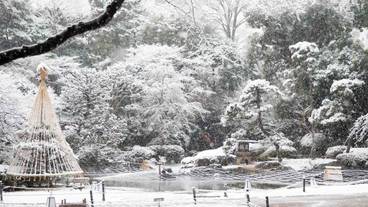 日本庭園　冬 / 13