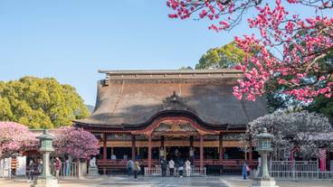 太宰府天満宮① / 1