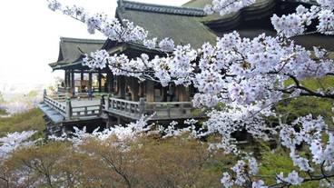 観光スポット / 3