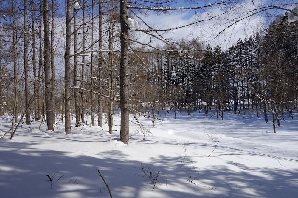 スノー スポーツとスキー