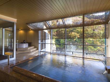 鬼怒川温泉 鬼怒川プラザホテル / 5