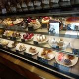 菓子の樹（カシノキ）