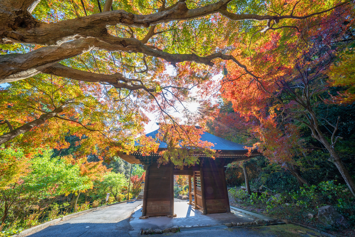 普門寺の紅葉