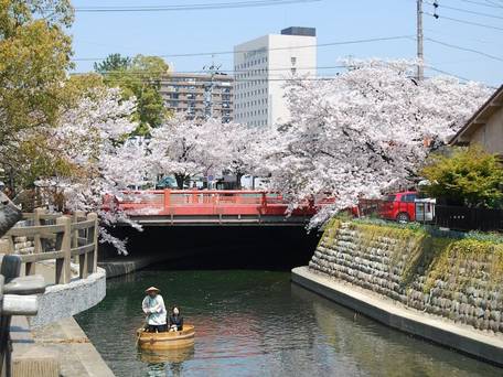 クインテッサホテル大垣 / 5
