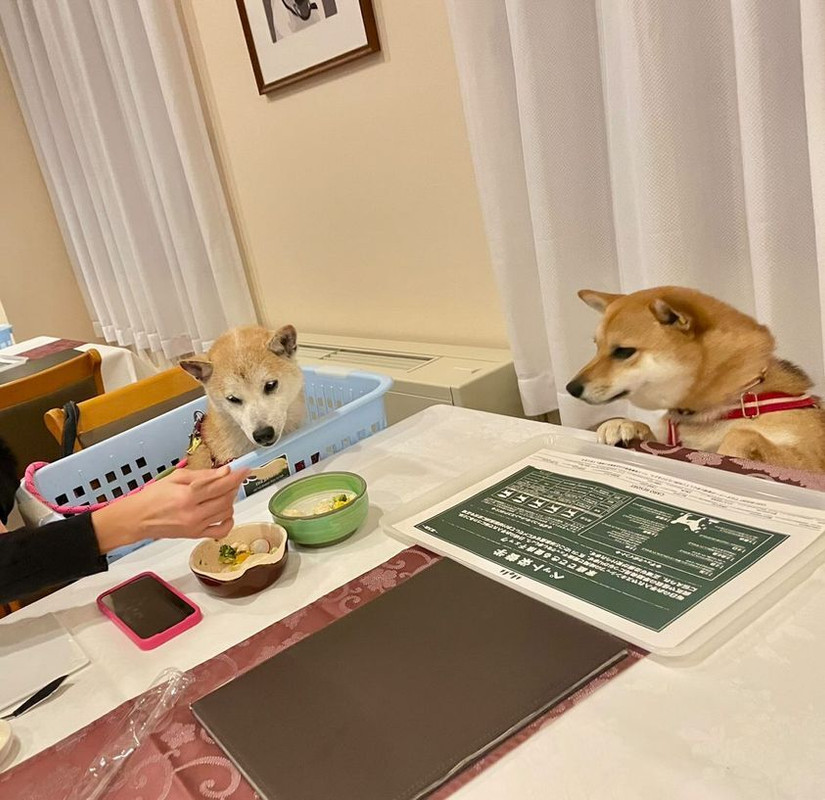 anzu.1120さんの写真 / 6