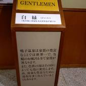 鳴子温泉 名湯の宿 鳴子ホテル（宮城県 旅館） / 3