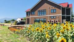 B＆B Plus+ シューティングスター