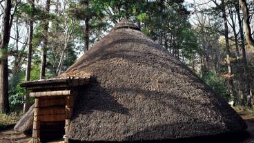 観光スポット / 8