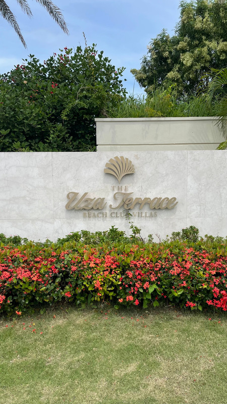 momogram1177さんの写真 / 1