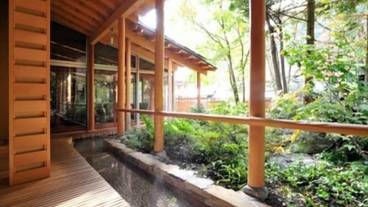 水上温泉郷 谷川温泉 旅館たにがわ（ミナカミオンセンキョウ　タニガワオンセン　リョカンタニガワ） / 14