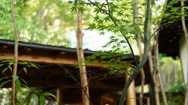 施設の敷地 / 12