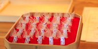 縁結びの神様♡埼玉「川越氷川神社」は素敵すぎるパワースポットだった！