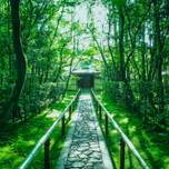 禅を通して自由におおらかに。京都観光で行きたい、おすすめ禅寺12選