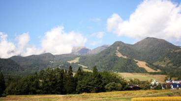 施設の敷地 / 25