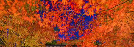 情緒あふれる滞在を。岐阜の名湯・下呂温泉のおすすめ旅館5選