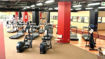 フィットネス / 18